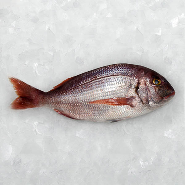 pescados cuaresma