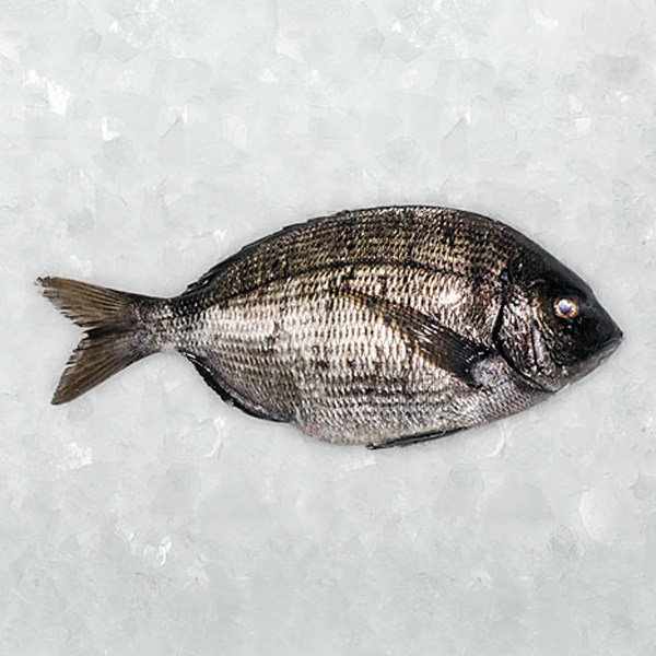 pescados cuaresma