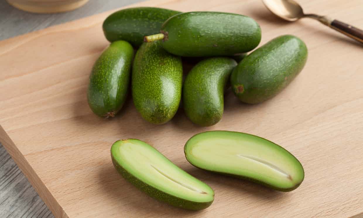 enojado aguacate