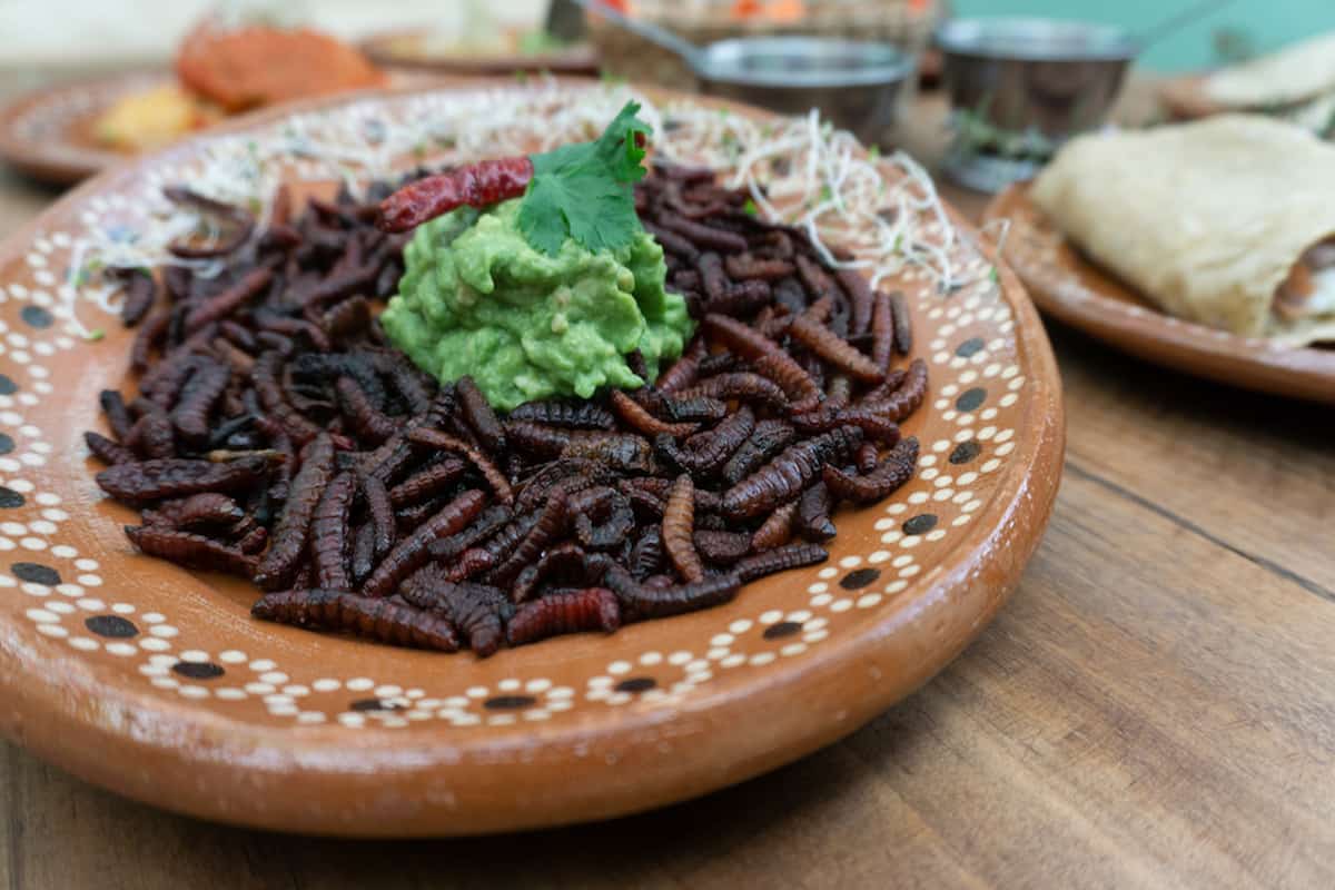 Chinicuil asado con guacamole, platillo en donde el quinto sabor conocido como umami está presente.