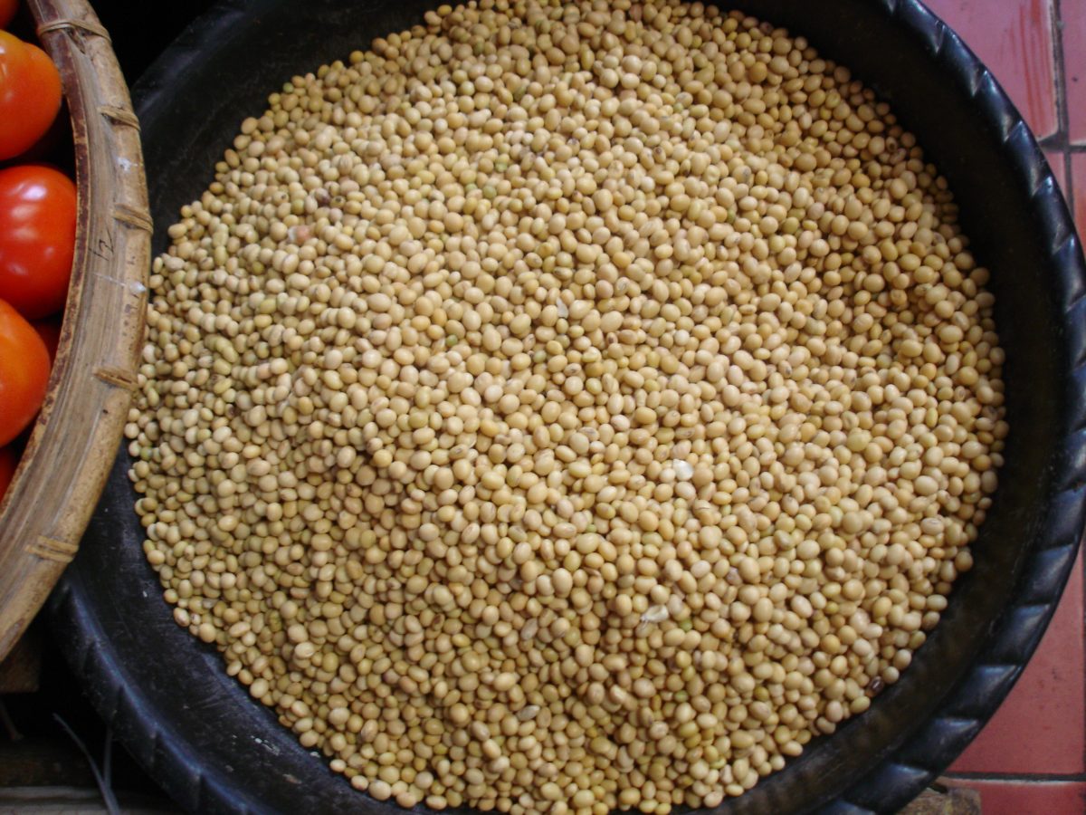 soya