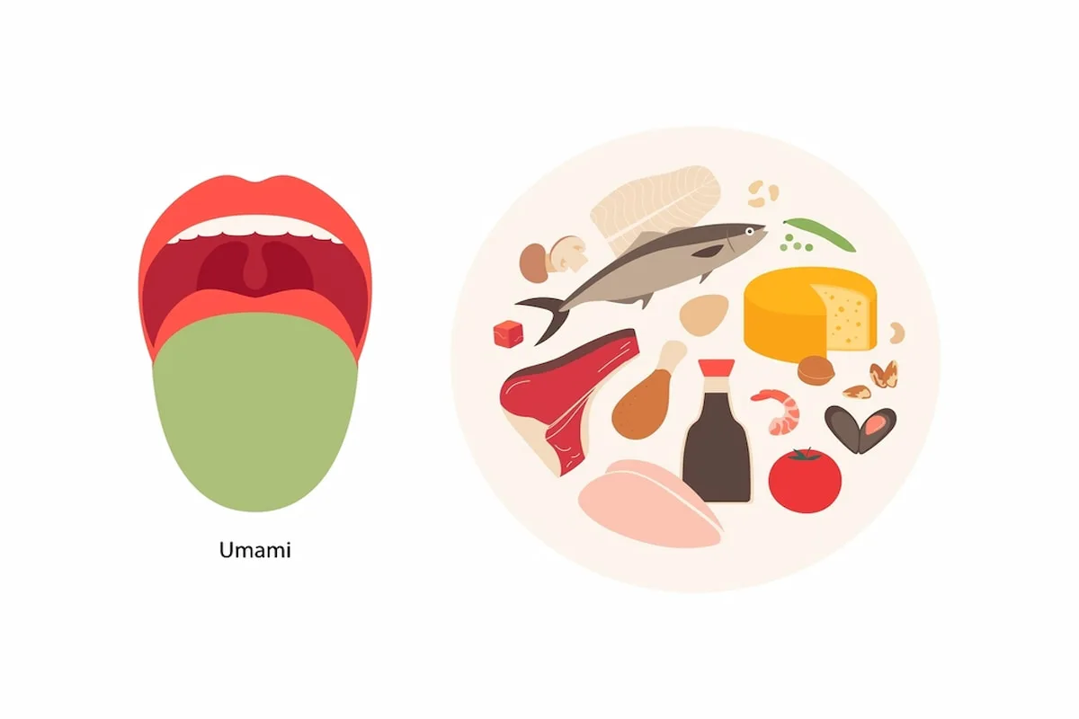 El umami es conocido como el quinto sabor.
