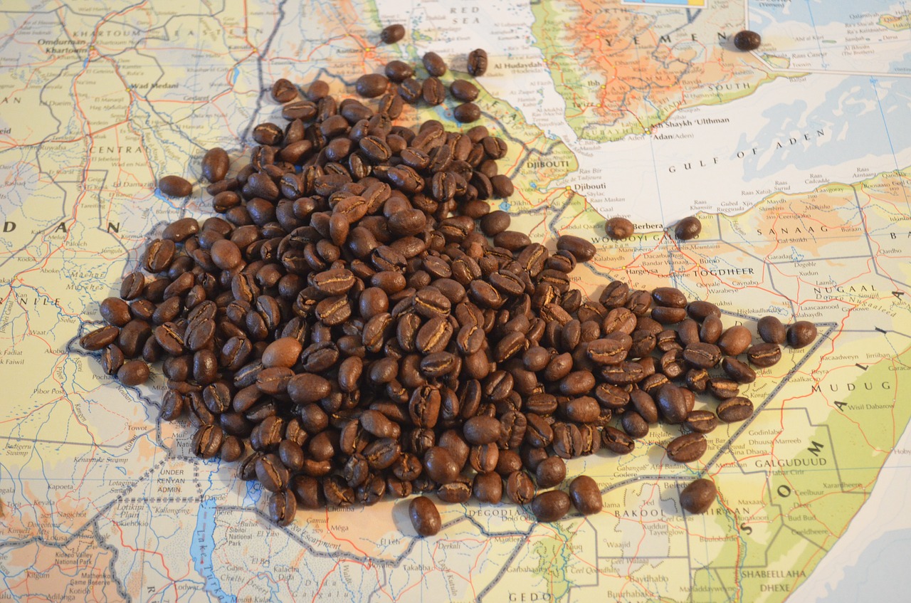 el café en el mundo