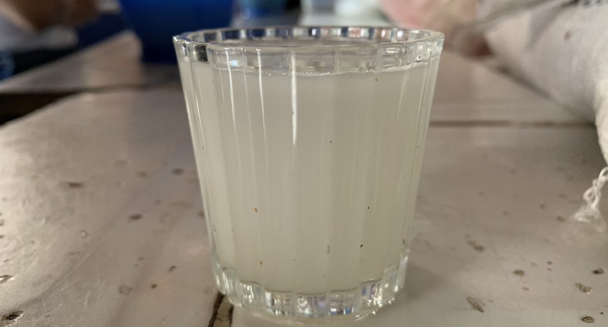 dónde tomar buen pulque en la cdmx