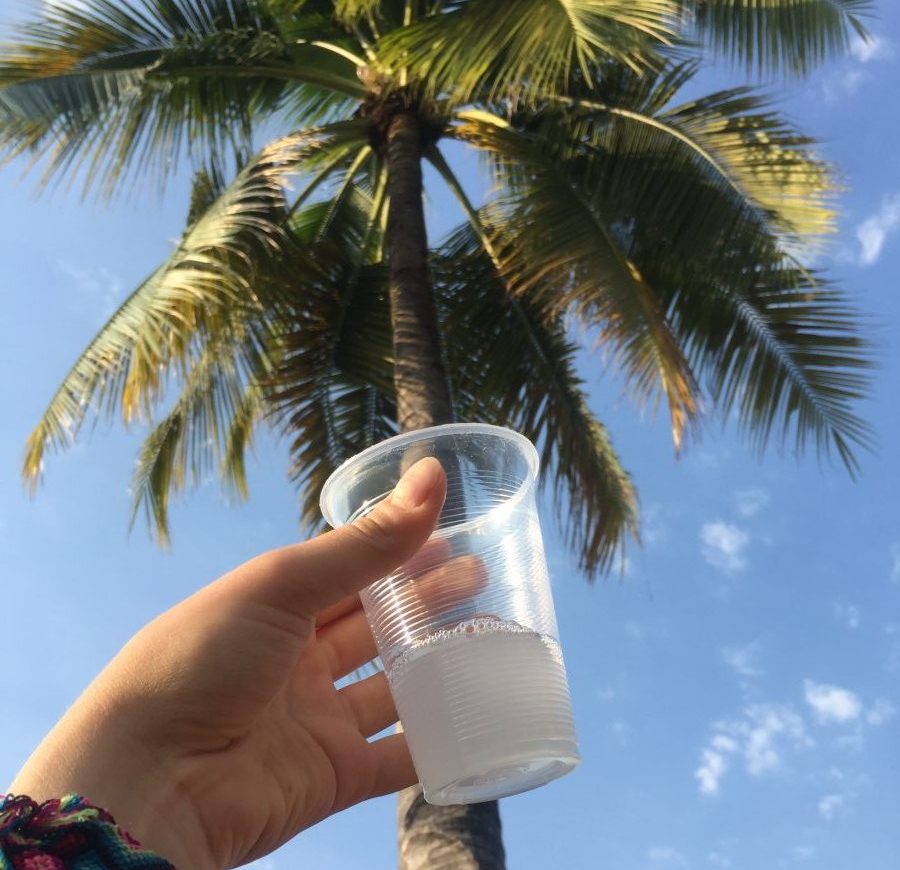 tuba gastronomía de colima