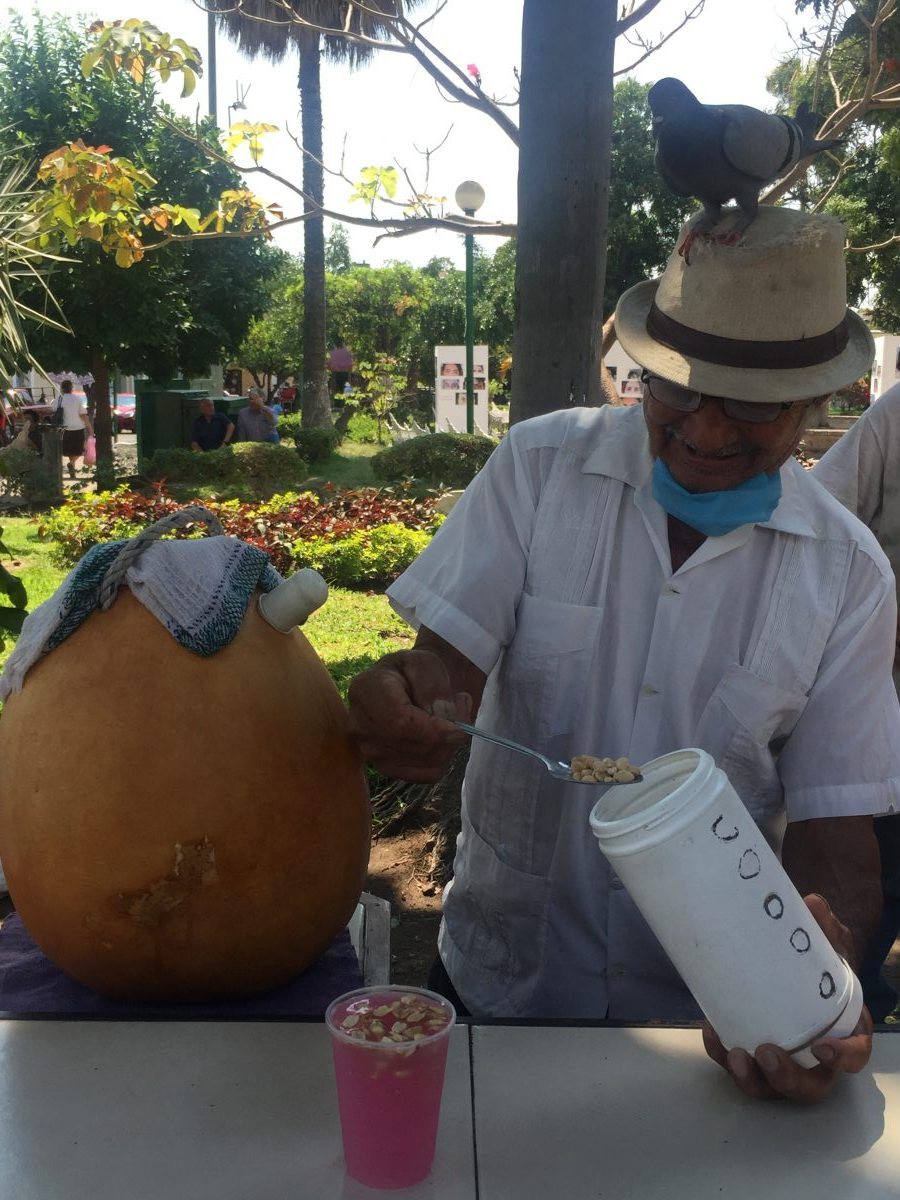 tuba gastronomía de colima