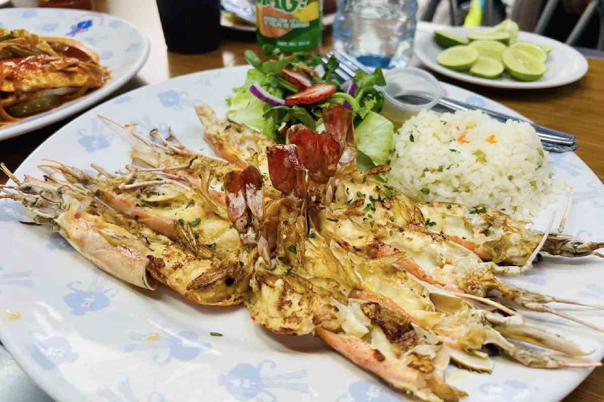 El Jardín del Pulpo