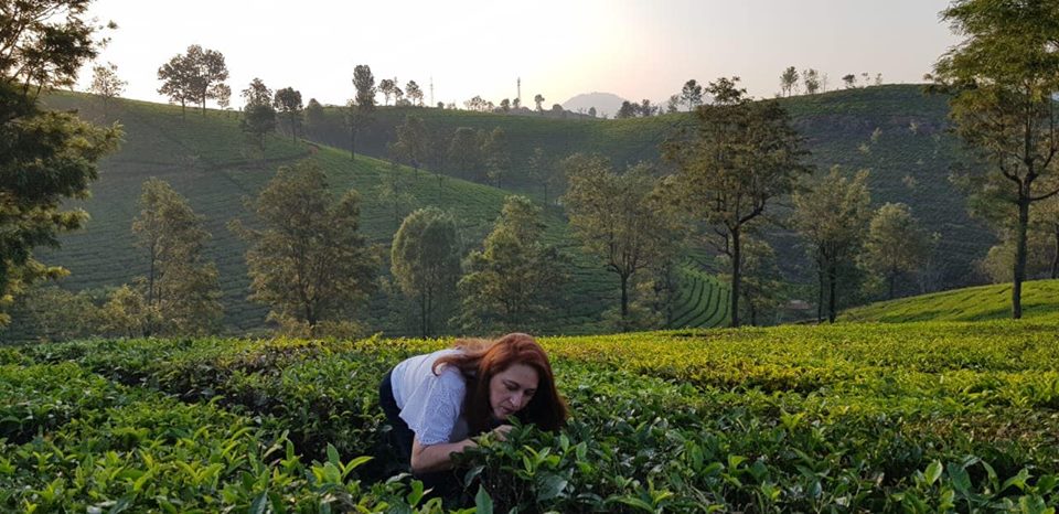 sommelier de té