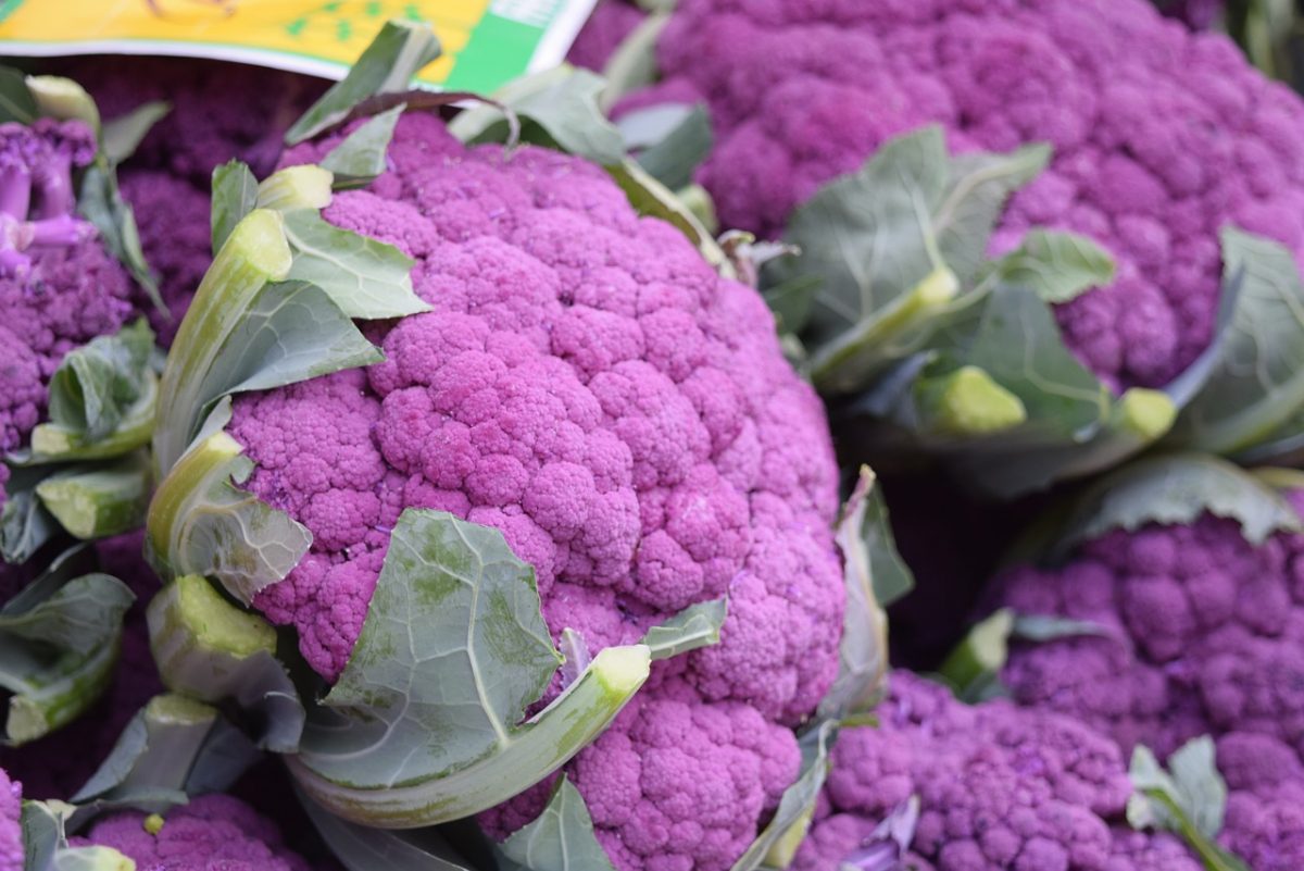 recetas con coliflor 50 best talks 2021