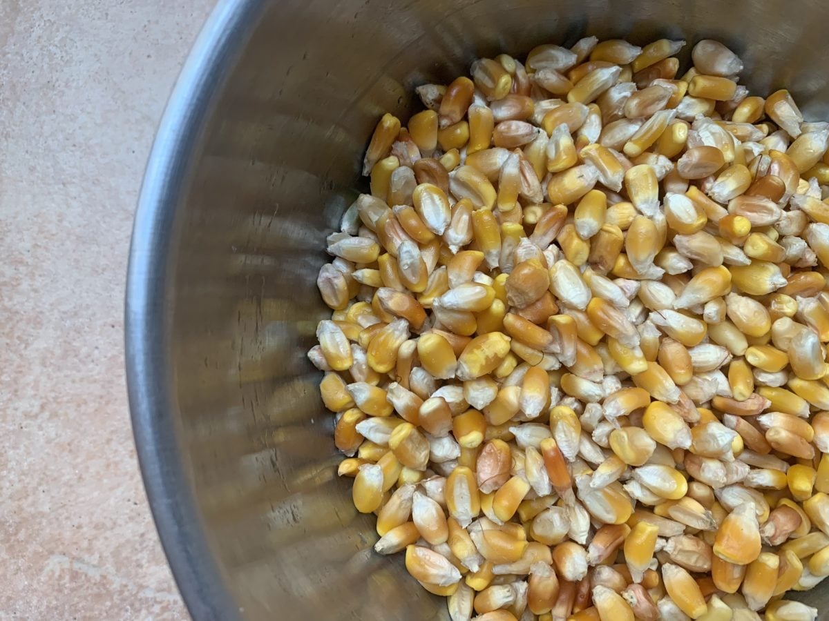 Todo lo que necesitas saber para nixtamalizar en casa y hacer masa para tortillas