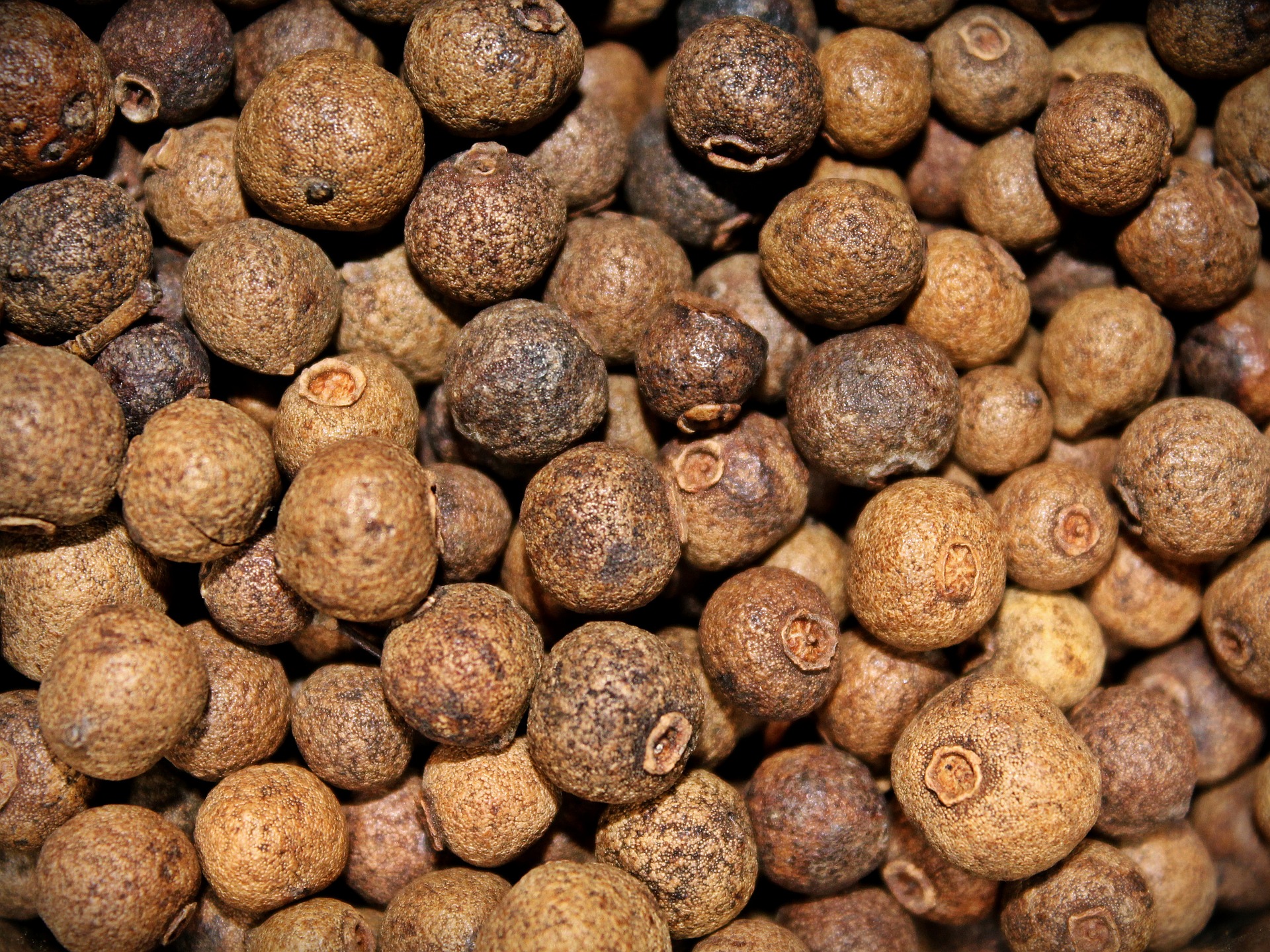 Pimienta gorda