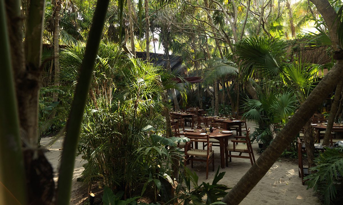 restaurantes pop-up