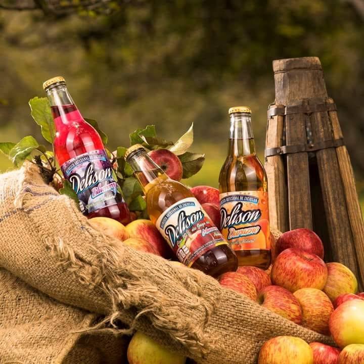 Delison refrescos artesanales
