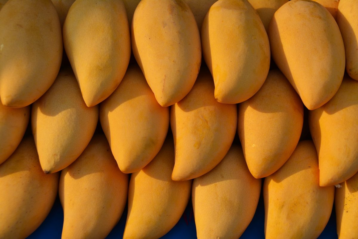 pollo en salsa de mango