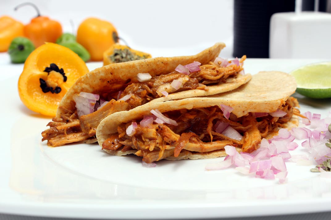 platillos mestizos