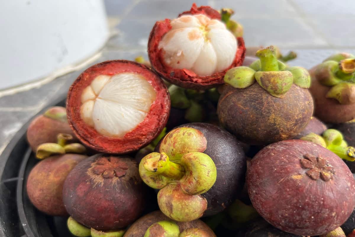 Fruta mangostán