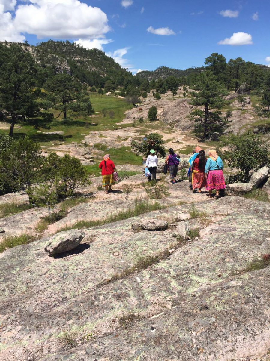 Cocina Tarahumara Chihuahua