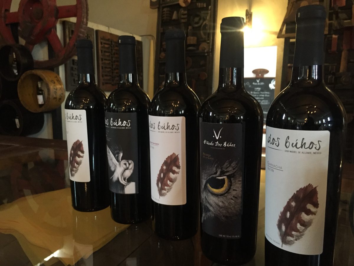 viñedos en san miguel de allende