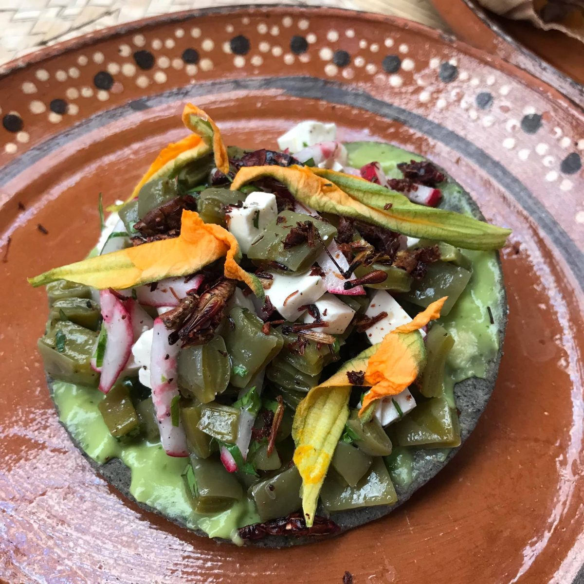 taco de nopales con flor de calabaza y quelites