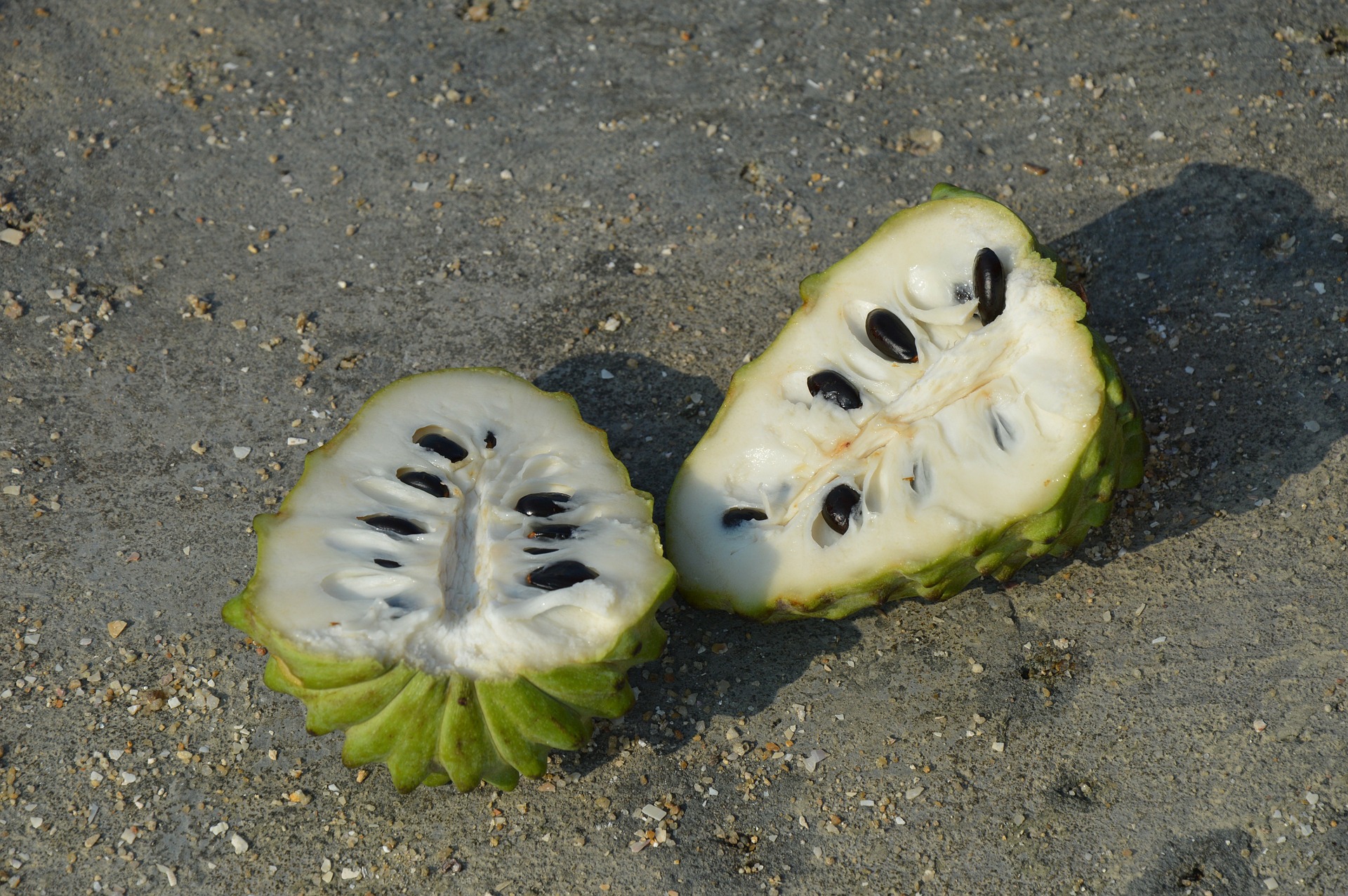 Frutas mexicanas, chirimoya