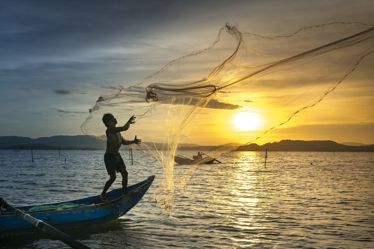 Pesca sustentable: mejores pescados y mariscos con smartfish