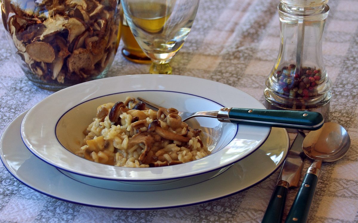 recetas con hongos temporada de lluvias