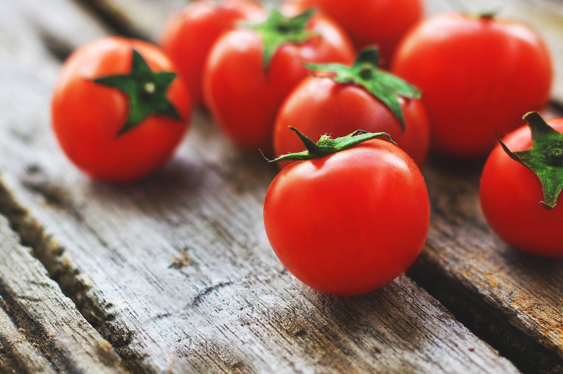 Vino de tomate