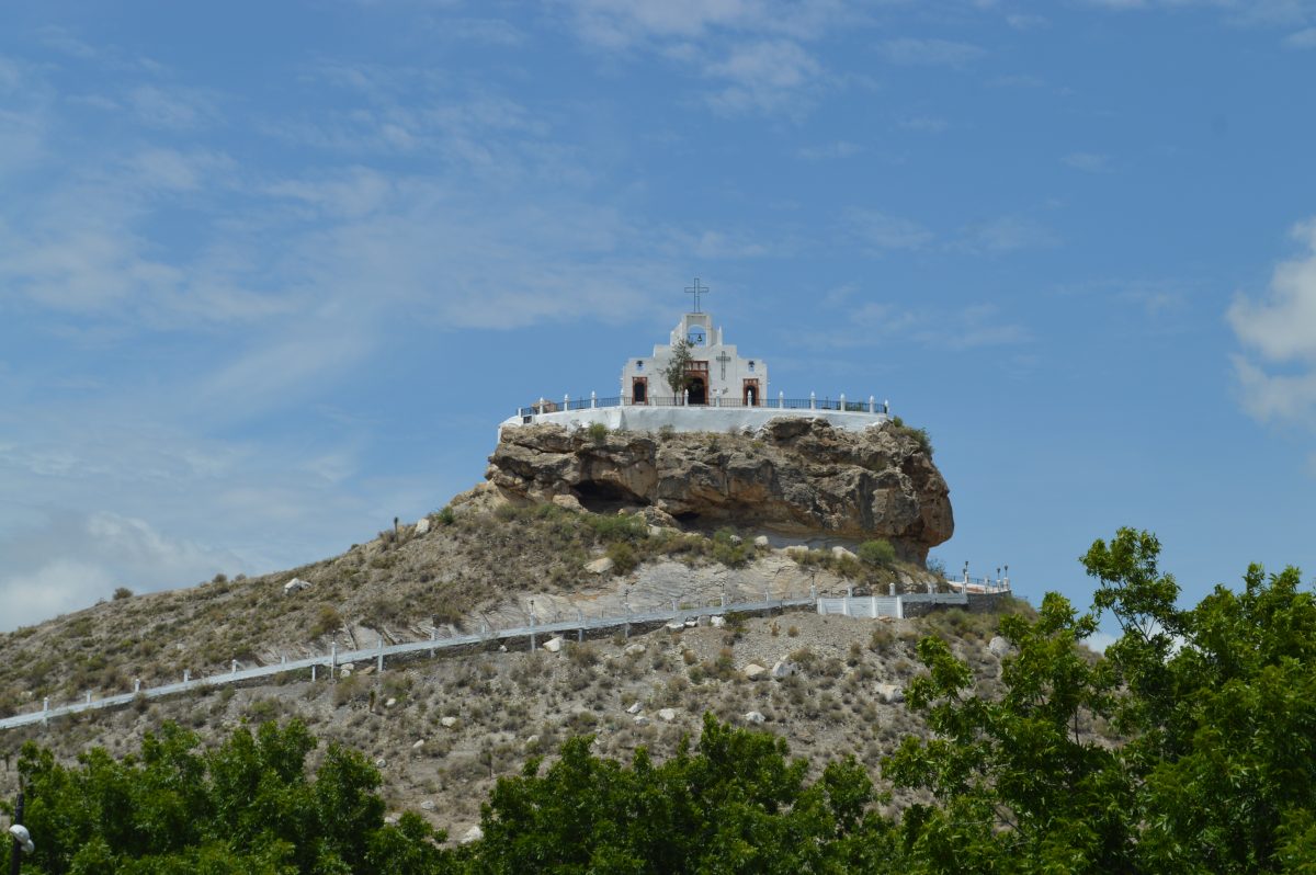 viñedos en coahuila