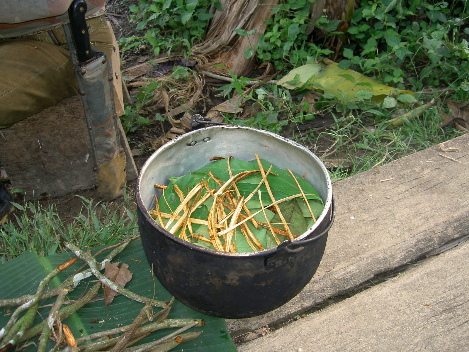 frutas endémicas selva amazónica amazonas