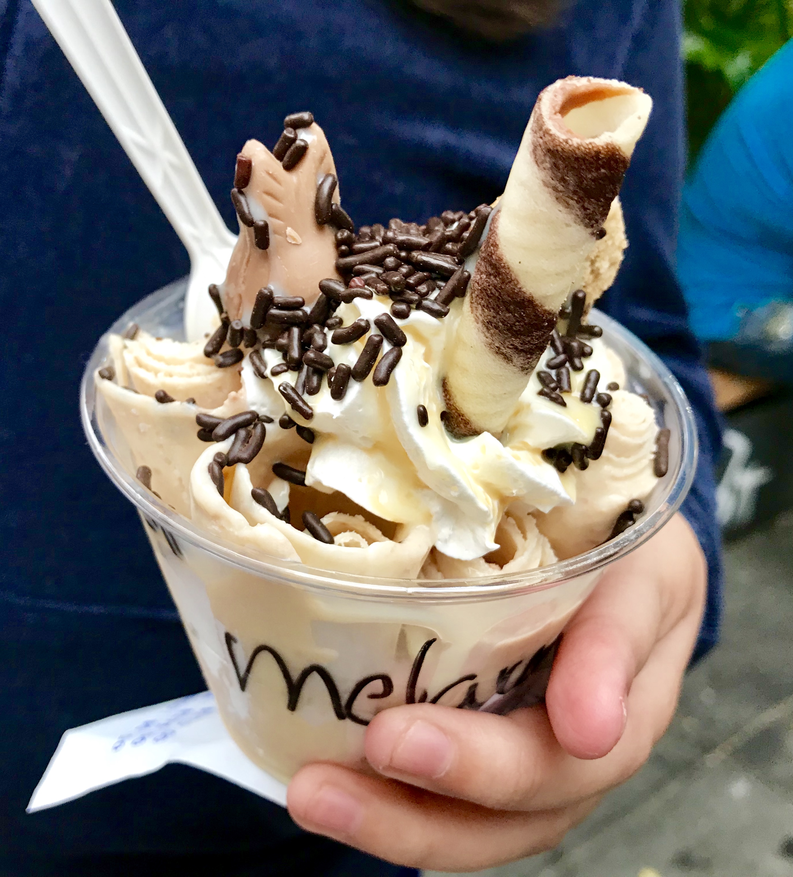 barrio chino CDMX comida china