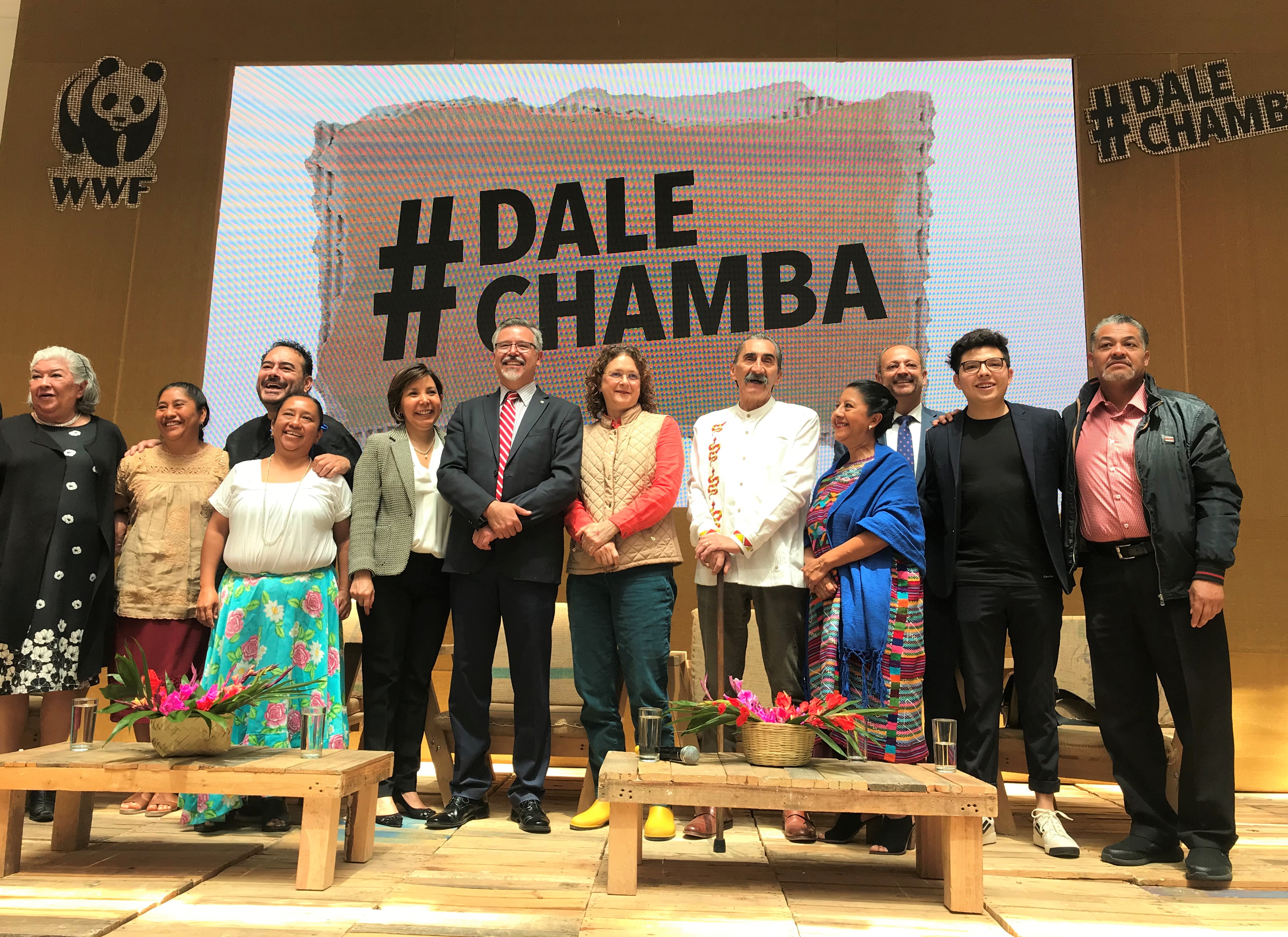 #DaleChamba Dale Chamba