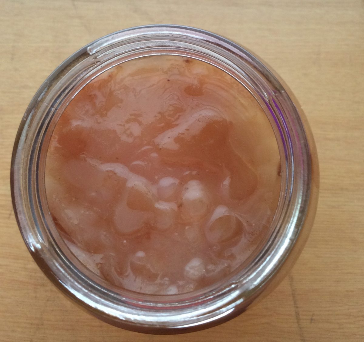 hacer kombucha en casa