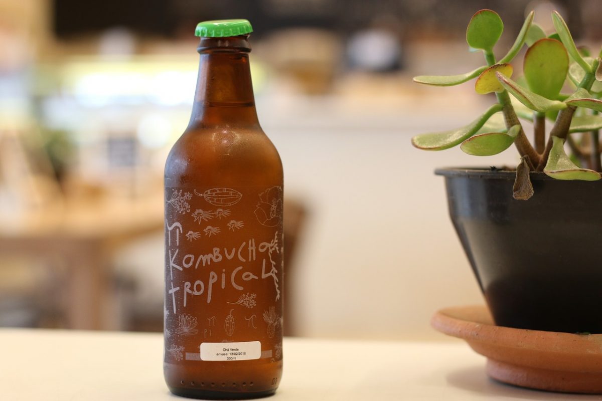 hacer kombucha en casa