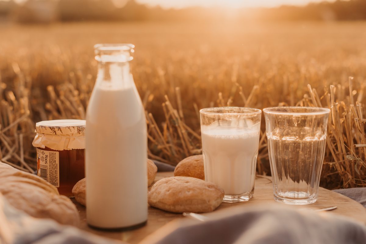 leche de camello propiedades lácteos