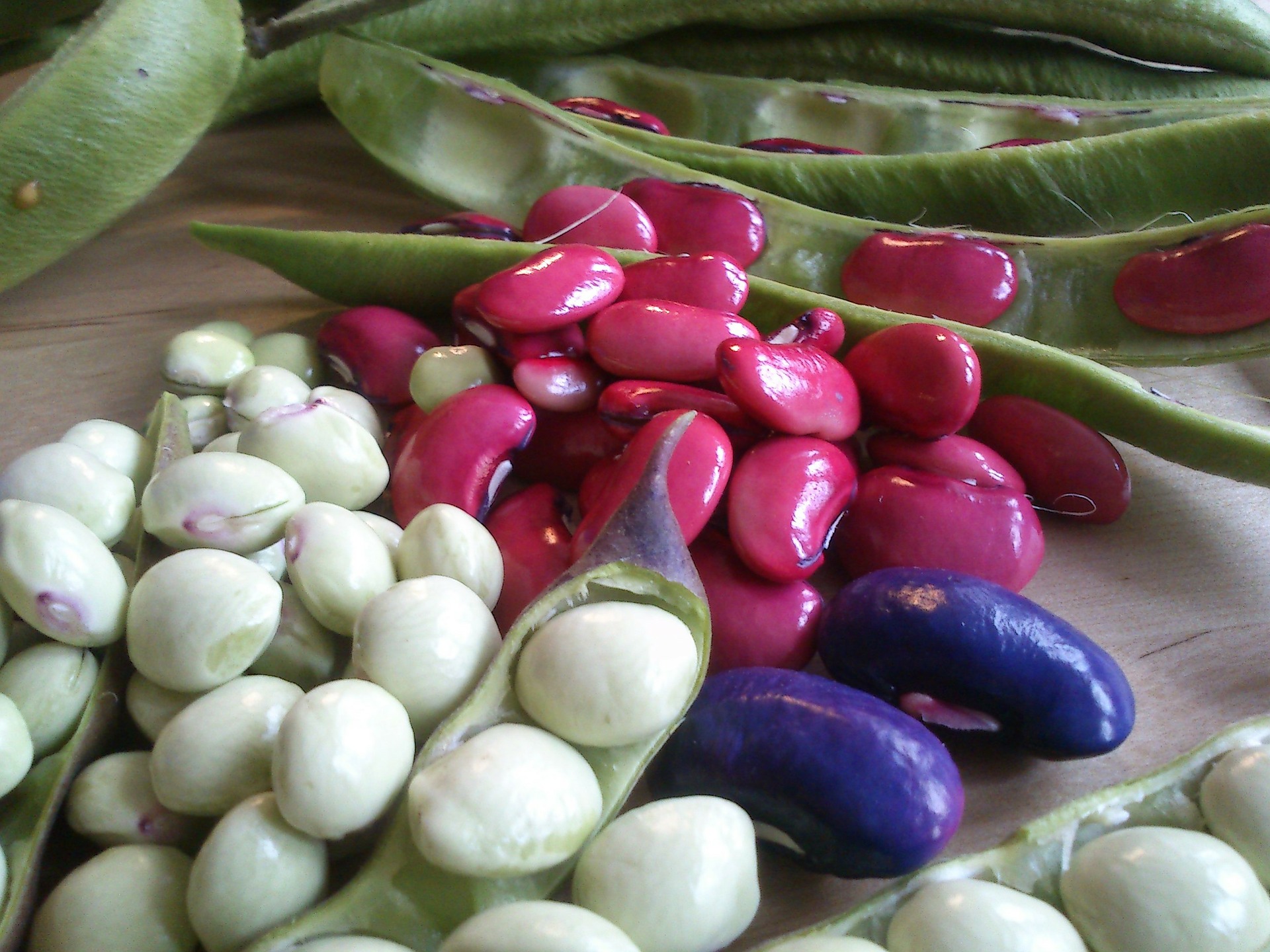 Alimentos con prebióticos