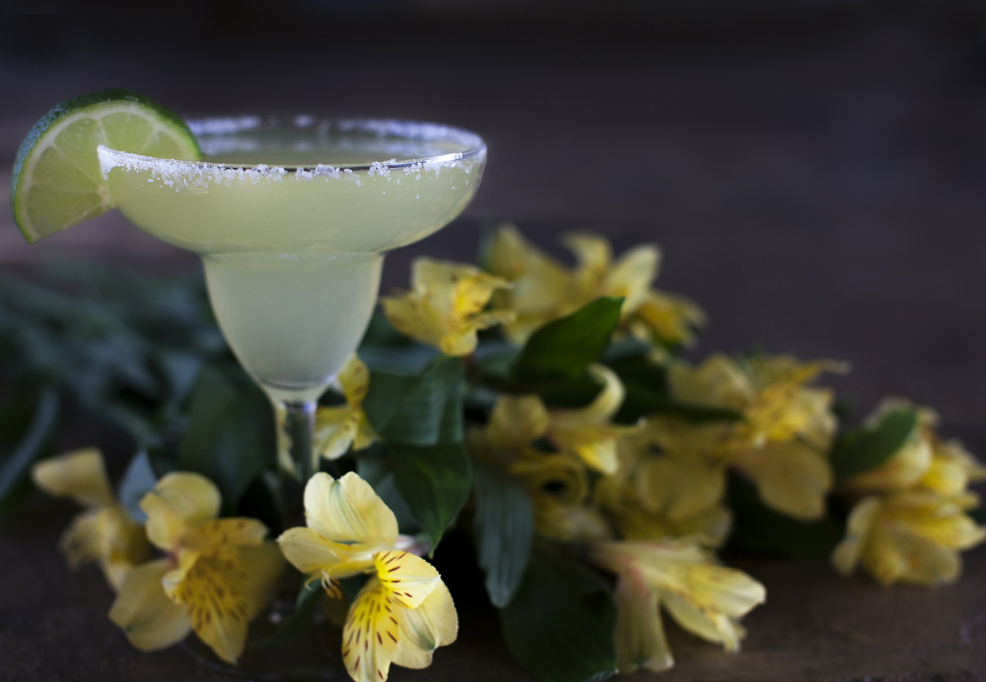 día internacional del tequila