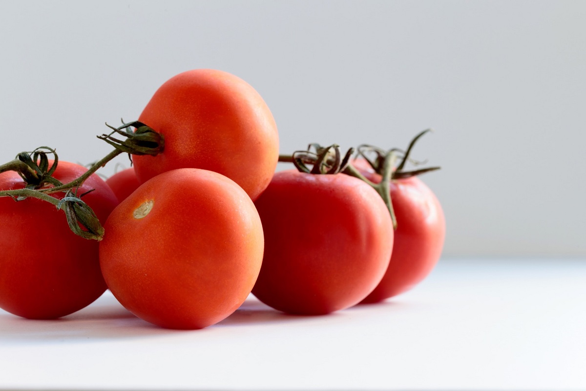 jitomate antioxidantes