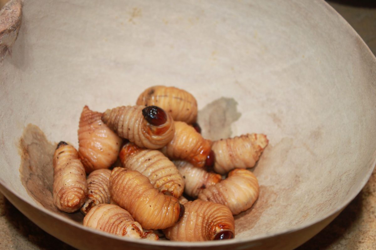 mambe hojas de coca