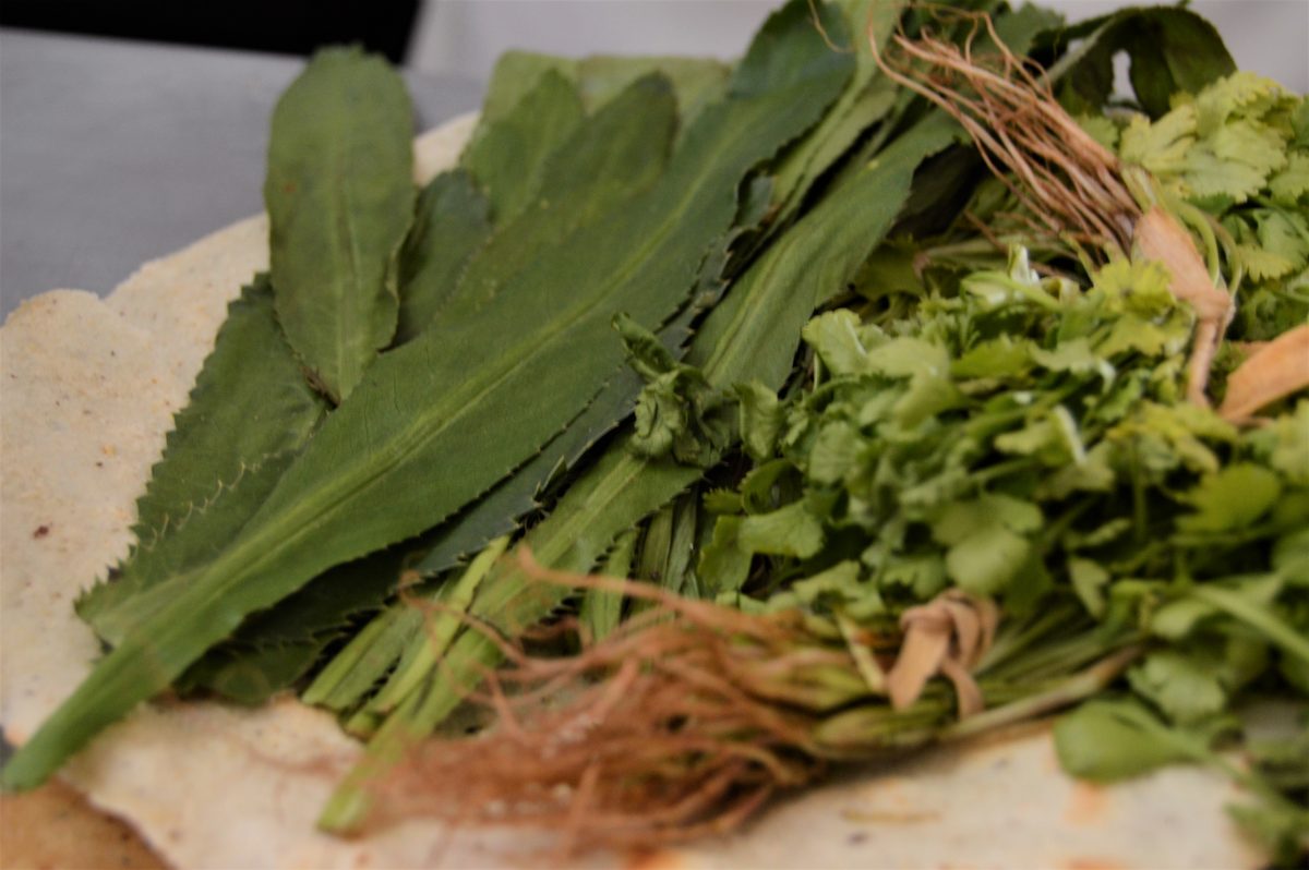 cocina de los Tuxtlas