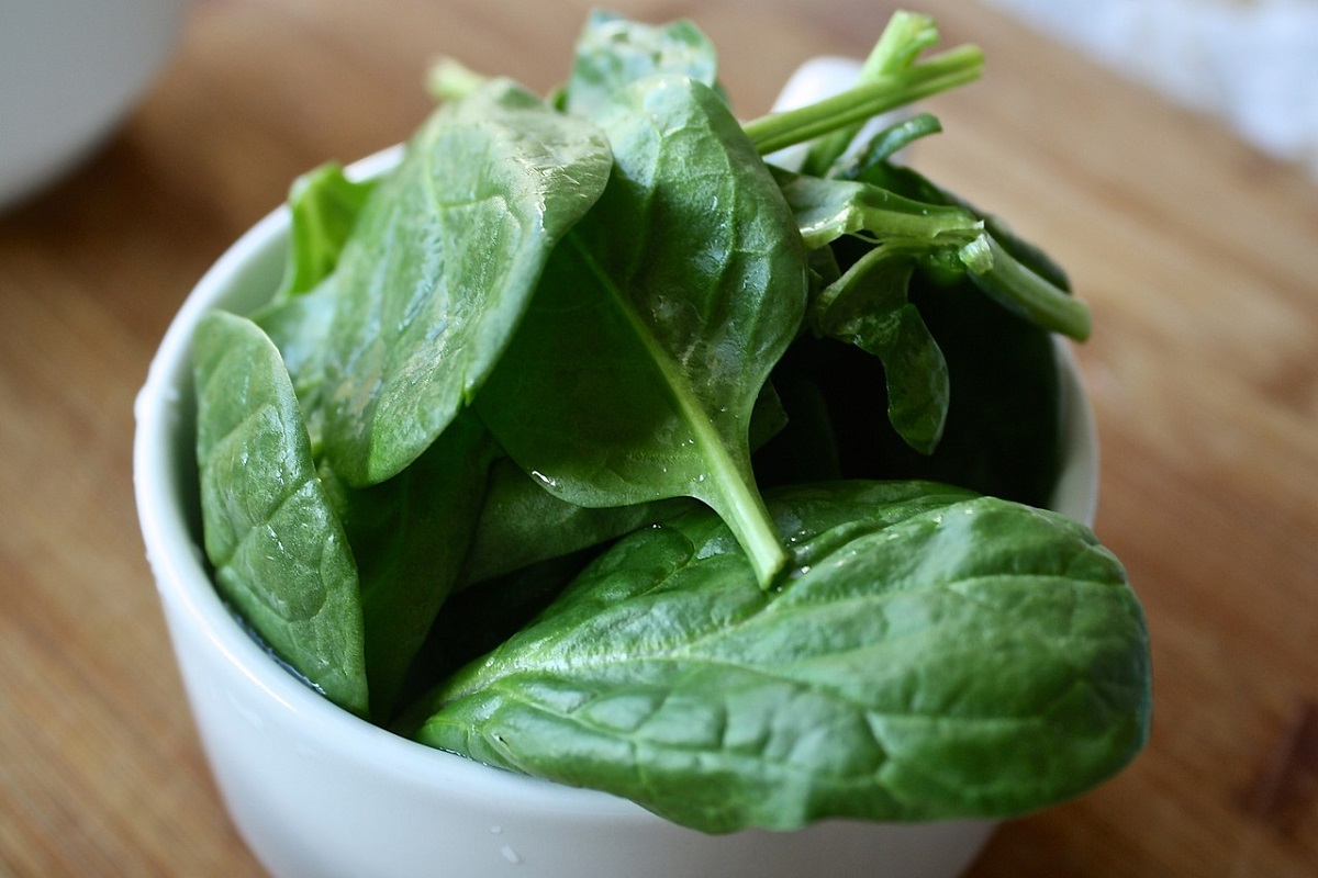 vegetales cultivar casa