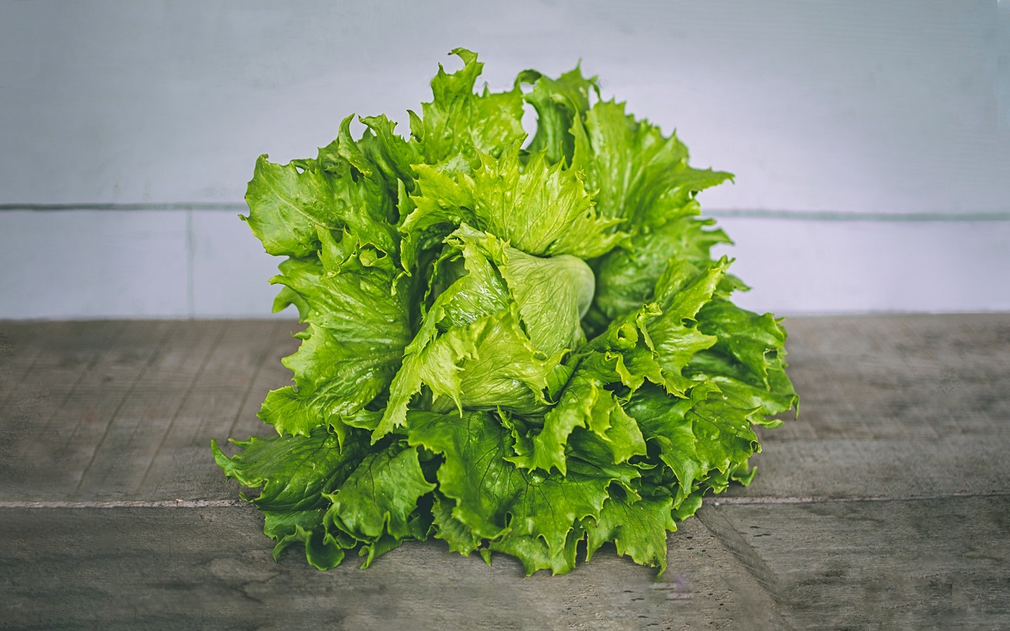 qué comer si sufres migraña lechuga