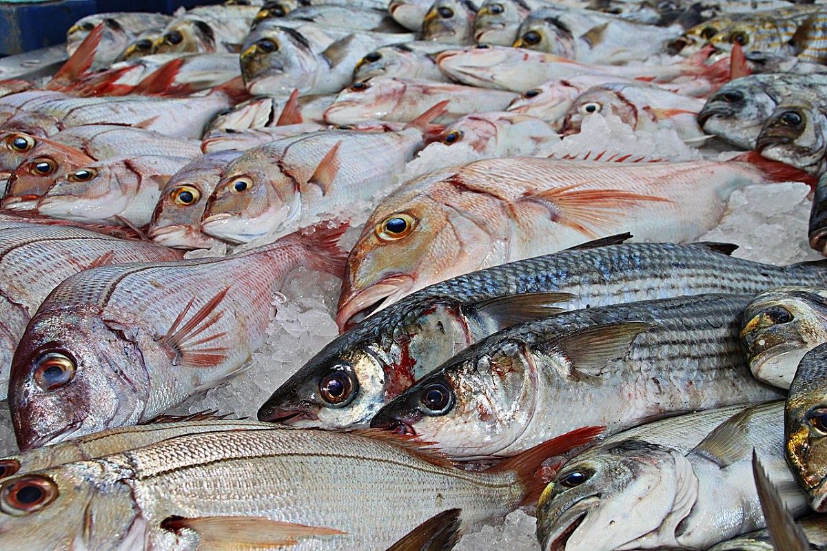 mujeres pescados mexicanos aprender a elegir pescado