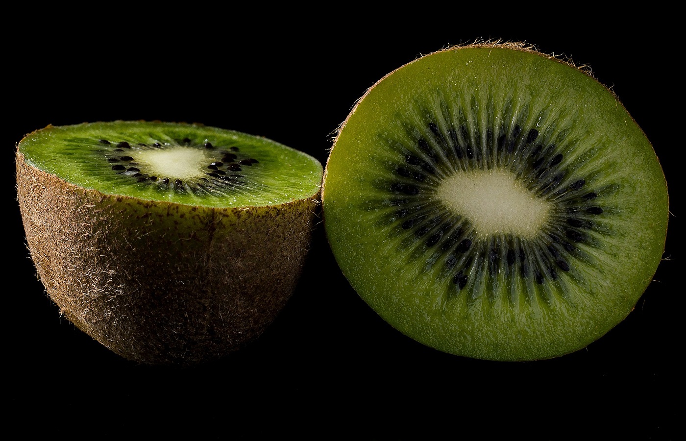 alimentos digestión