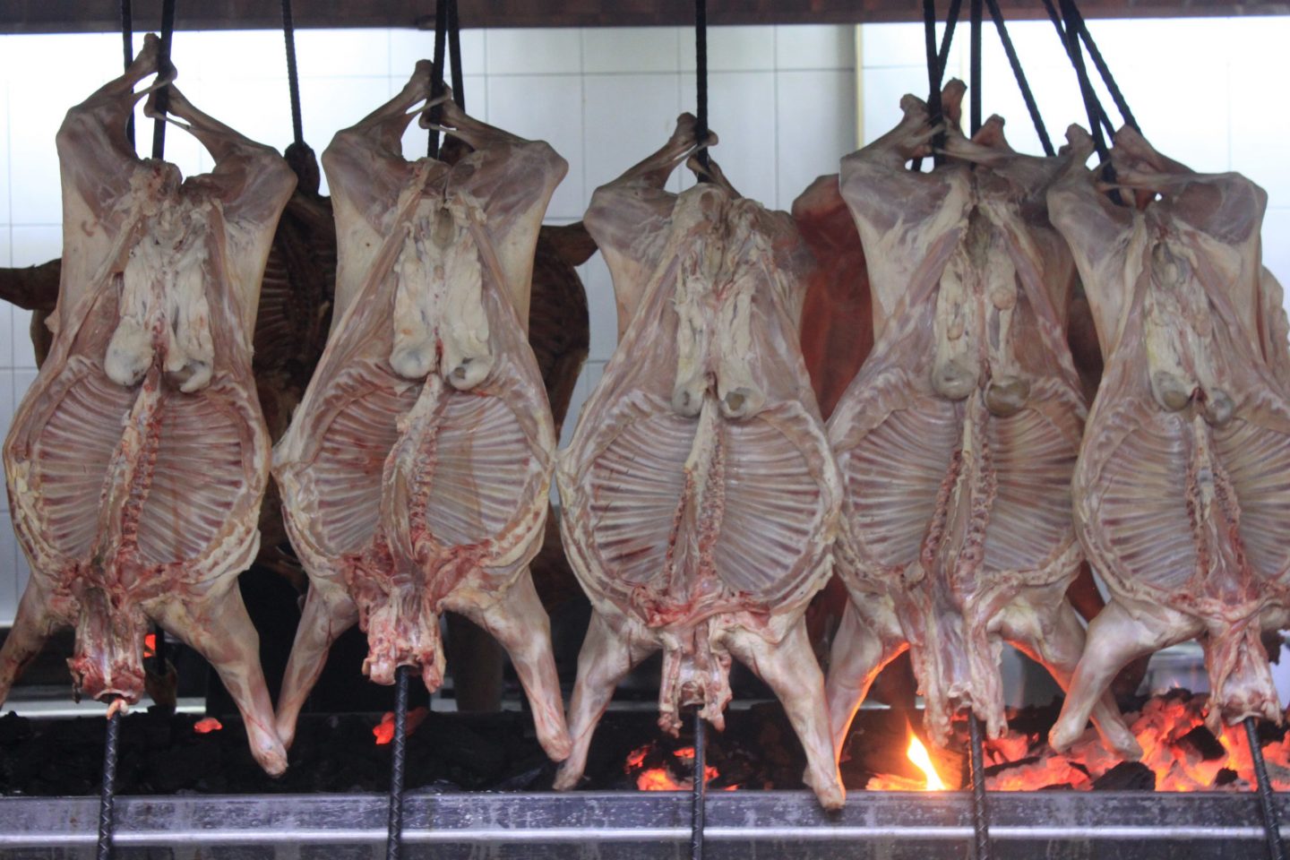 cabrito en monterrey