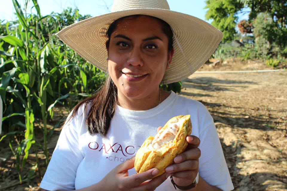 Oaxacanita chocolate
