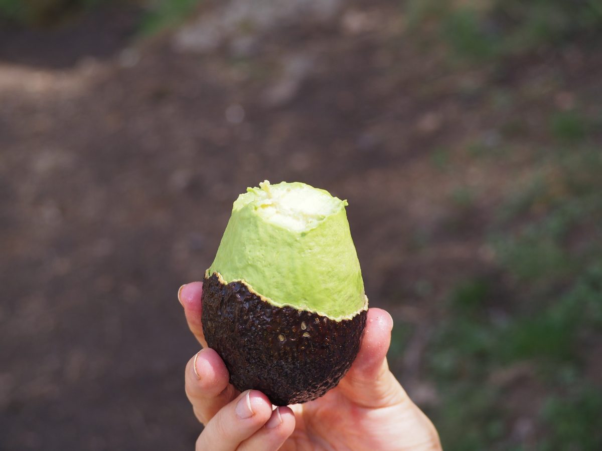 frutas con más nutrientes y beneficios