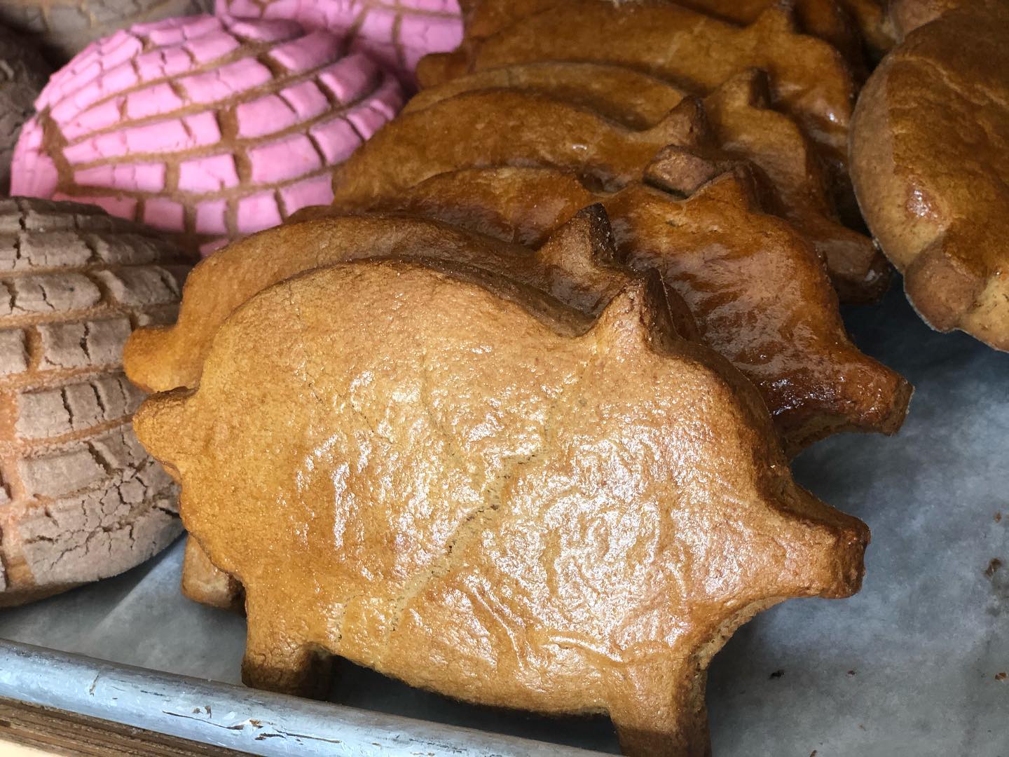 puerquitos de piloncillo