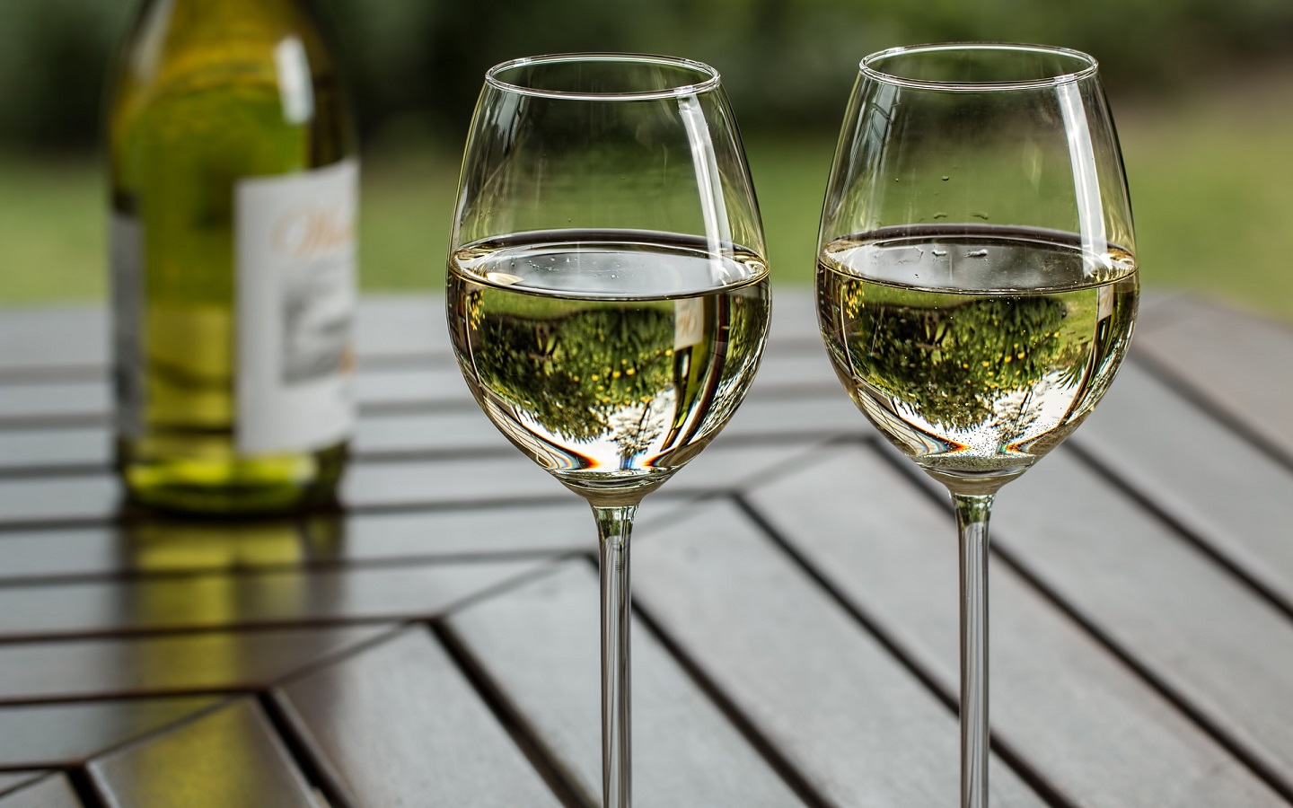 colores del vino 