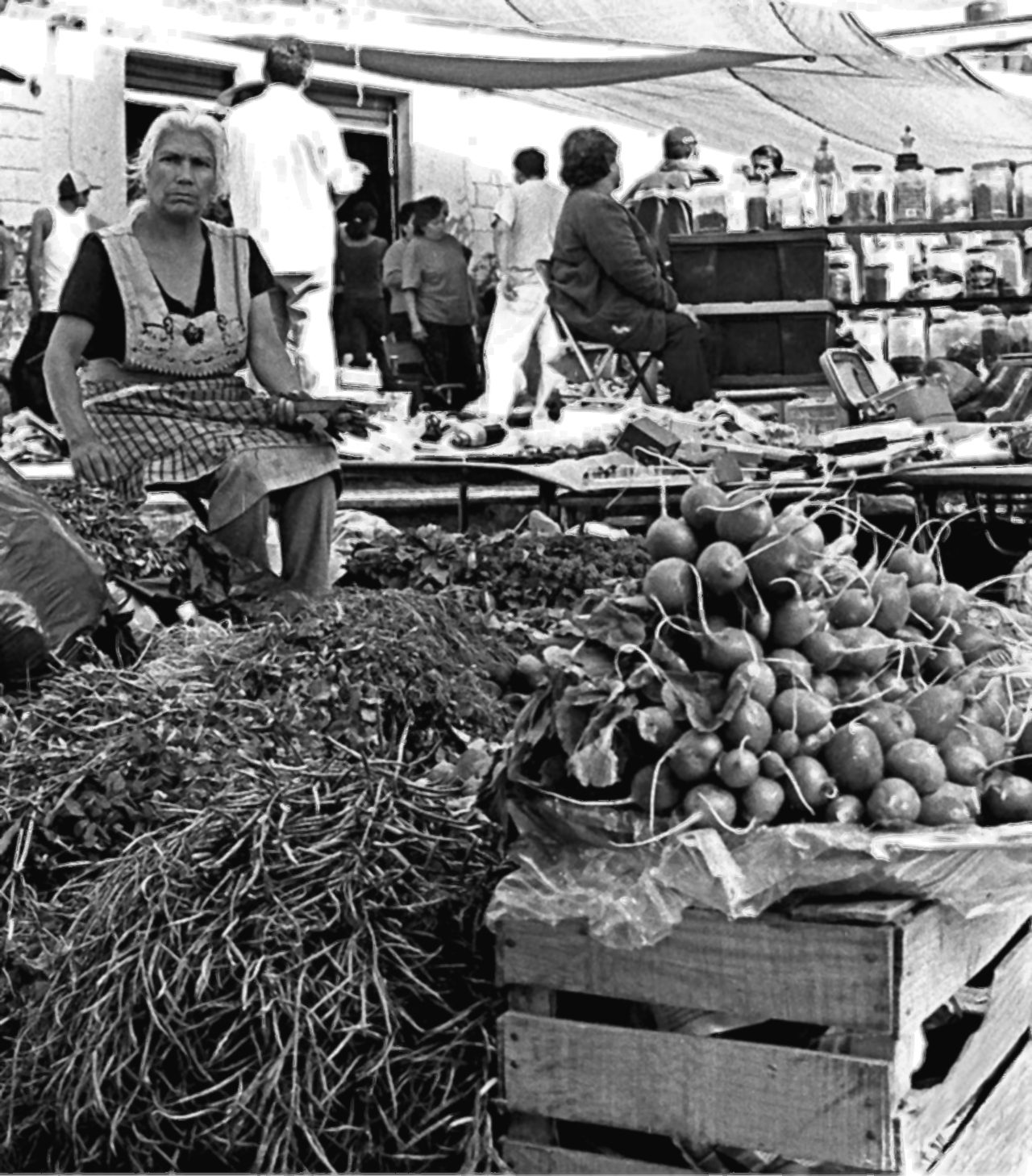 tianguis de México historia mercados sobre ruedas