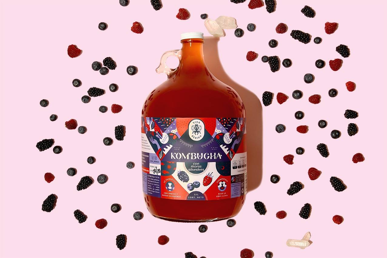 vida bebida kombucha